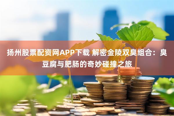 扬州股票配资网APP下载 解密金陵双臭组合：臭豆腐与肥肠的奇妙碰撞之旅