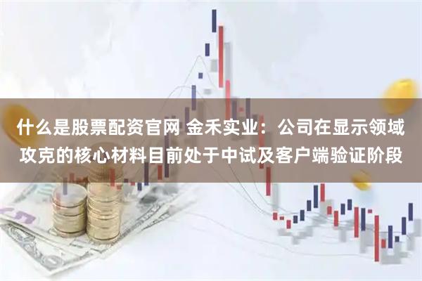 什么是股票配资官网 金禾实业：公司在显示领域攻克的核心材料目前处于中试及客户端验证阶段